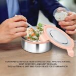 MILTON Express Meal Lunch Box (2 Round Inner Steel Leak Proof Containers with Click Lock Lids 380 ml Each) with Unisex Bag, Peach, Odour Proof, Food Grade - Image 3